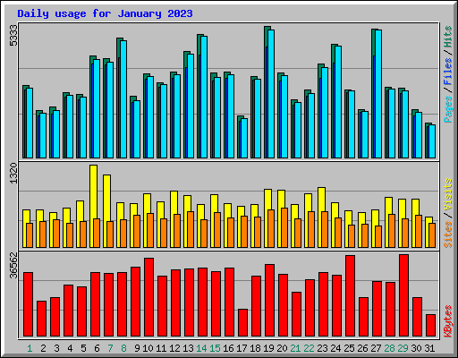 Daily usage for January 2023