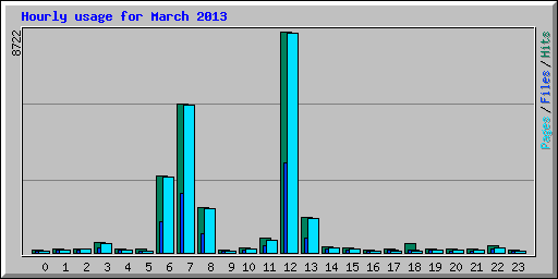 Hourly usage for March 2013