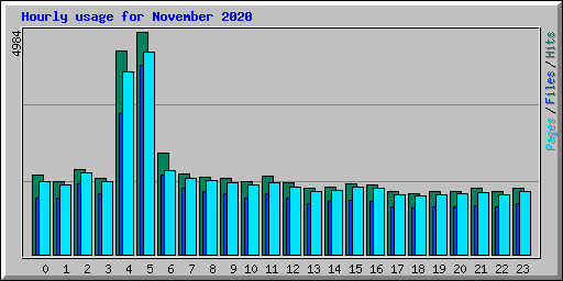 Hourly usage for November 2020