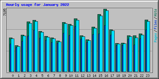 Hourly usage for January 2022