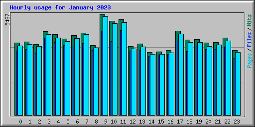 Hourly usage for January 2023