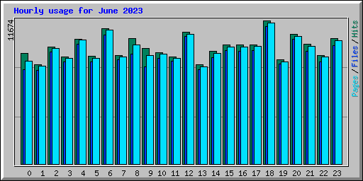 Hourly usage for June 2023