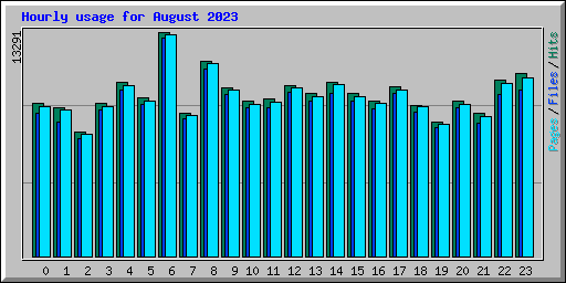 Hourly usage for August 2023