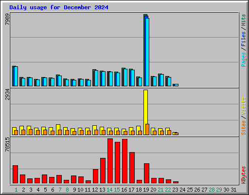 Daily usage for December 2024