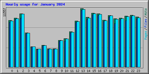 Hourly usage for January 2024