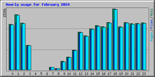 Hourly usage for February 2024