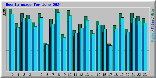 Hourly usage for June 2024