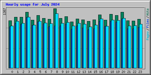 Hourly usage for July 2024