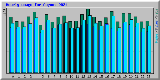 Hourly usage for August 2024