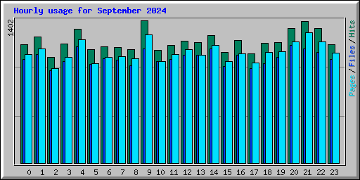 Hourly usage for September 2024