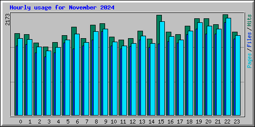 Hourly usage for November 2024