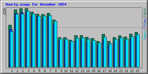 Hourly usage for December 2024